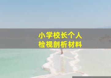 小学校长个人检视剖析材料