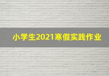 小学生2021寒假实践作业