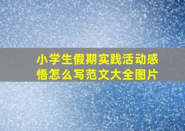 小学生假期实践活动感悟怎么写范文大全图片