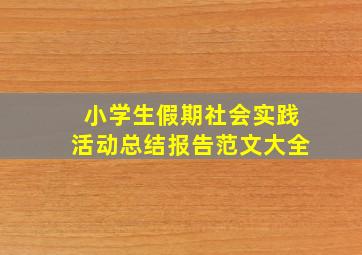 小学生假期社会实践活动总结报告范文大全