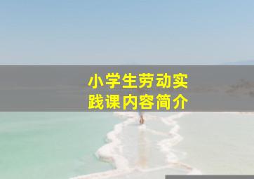 小学生劳动实践课内容简介