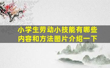 小学生劳动小技能有哪些内容和方法图片介绍一下