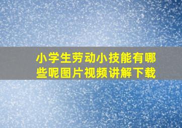 小学生劳动小技能有哪些呢图片视频讲解下载