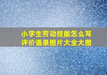 小学生劳动技能怎么写评价语录图片大全大图