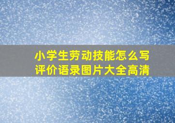 小学生劳动技能怎么写评价语录图片大全高清