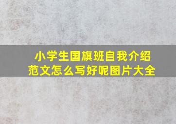 小学生国旗班自我介绍范文怎么写好呢图片大全