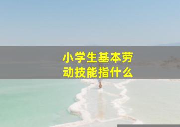 小学生基本劳动技能指什么