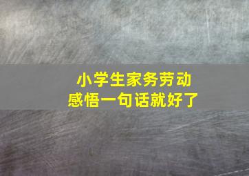 小学生家务劳动感悟一句话就好了