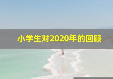 小学生对2020年的回顾