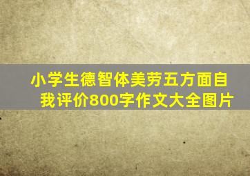 小学生德智体美劳五方面自我评价800字作文大全图片