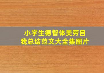 小学生德智体美劳自我总结范文大全集图片