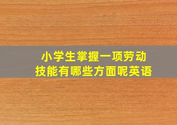 小学生掌握一项劳动技能有哪些方面呢英语