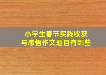 小学生春节实践收获与感悟作文题目有哪些