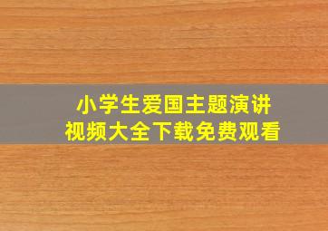 小学生爱国主题演讲视频大全下载免费观看