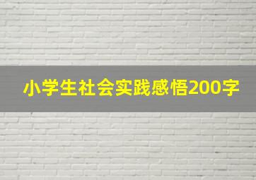 小学生社会实践感悟200字