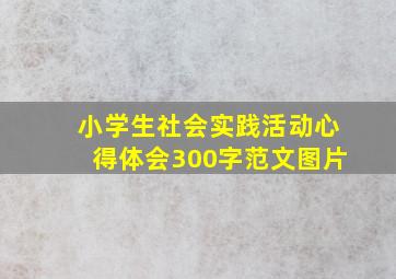 小学生社会实践活动心得体会300字范文图片