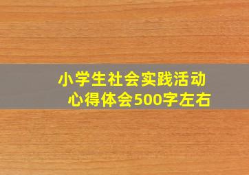 小学生社会实践活动心得体会500字左右