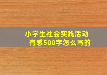 小学生社会实践活动有感500字怎么写的