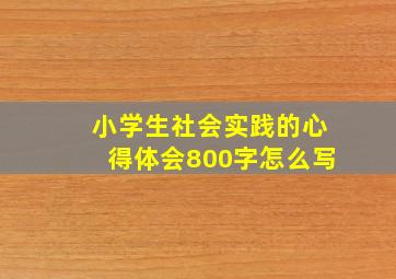 小学生社会实践的心得体会800字怎么写