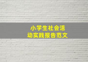 小学生社会活动实践报告范文