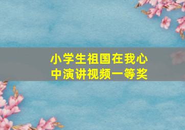 小学生祖国在我心中演讲视频一等奖