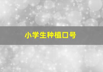 小学生种植口号