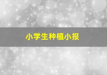 小学生种植小报