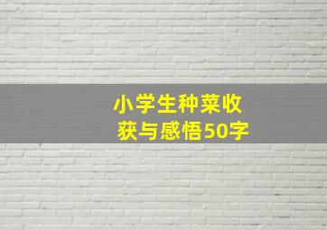 小学生种菜收获与感悟50字