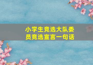 小学生竞选大队委员竞选宣言一句话