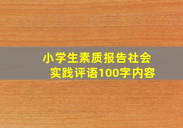 小学生素质报告社会实践评语100字内容