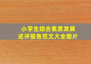 小学生综合素质发展述评报告范文大全图片