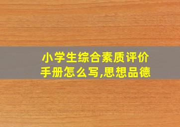 小学生综合素质评价手册怎么写,思想品德