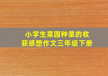 小学生菜园种菜的收获感想作文三年级下册