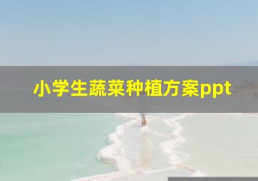 小学生蔬菜种植方案ppt