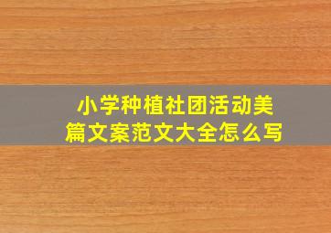 小学种植社团活动美篇文案范文大全怎么写