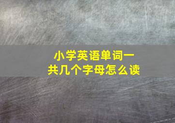 小学英语单词一共几个字母怎么读