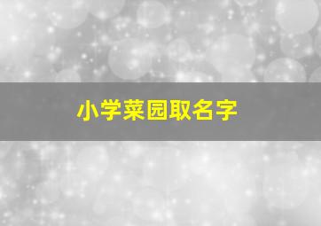 小学菜园取名字