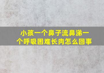 小孩一个鼻子流鼻涕一个呼吸困难长肉怎么回事