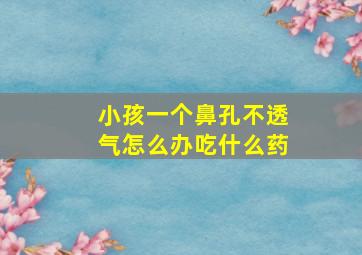 小孩一个鼻孔不透气怎么办吃什么药