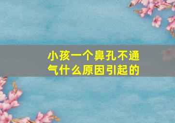 小孩一个鼻孔不通气什么原因引起的