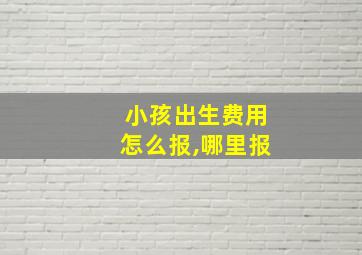 小孩出生费用怎么报,哪里报