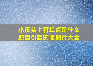 小孩头上有红点是什么原因引起的呢图片大全