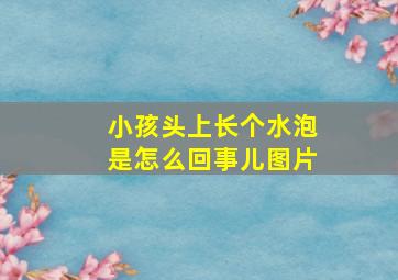 小孩头上长个水泡是怎么回事儿图片