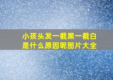 小孩头发一截黑一截白是什么原因呢图片大全