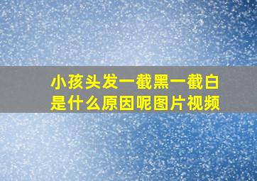 小孩头发一截黑一截白是什么原因呢图片视频