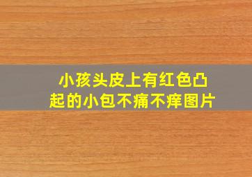 小孩头皮上有红色凸起的小包不痛不痒图片