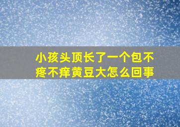 小孩头顶长了一个包不疼不痒黄豆大怎么回事