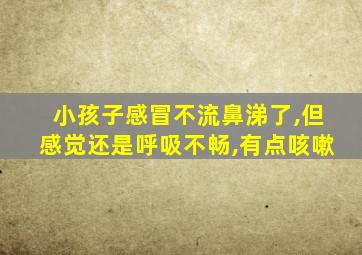 小孩子感冒不流鼻涕了,但感觉还是呼吸不畅,有点咳嗽