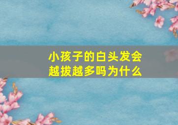 小孩子的白头发会越拔越多吗为什么