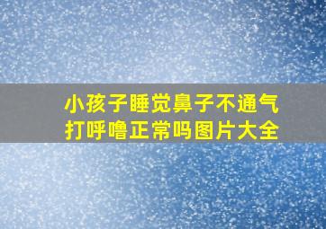 小孩子睡觉鼻子不通气打呼噜正常吗图片大全